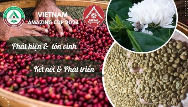 Sản phẩm cà-phê Robusta “Buôn Ma Thuột” được ban hành quy chế quản lý chỉ dẫn địa lý