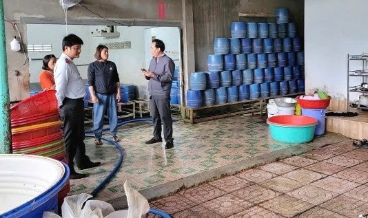 Đắk Lắk: Xử phạt vi phạm hành chính 2 cơ sở sản xuất giá đỗ