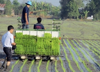 Nông dân Nghệ An hối hả xuống đồng sản xuất vụ Xuân 2025