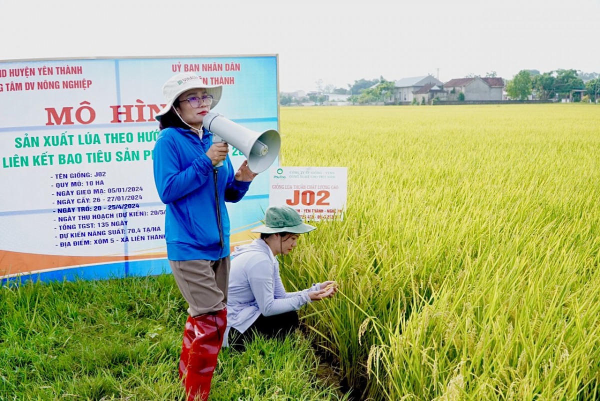 Nông nghiệp xanh ở Nghệ An: Bước đột phá và thử thách mới trong năm 2025