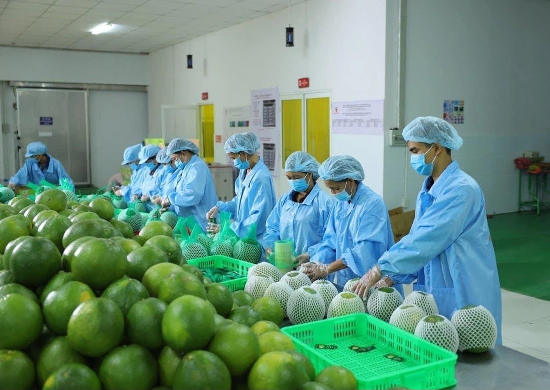 Rau quả Việt Nam hướng tới mục tiêu xuất khẩu 8 tỷ USD trong năm 2025