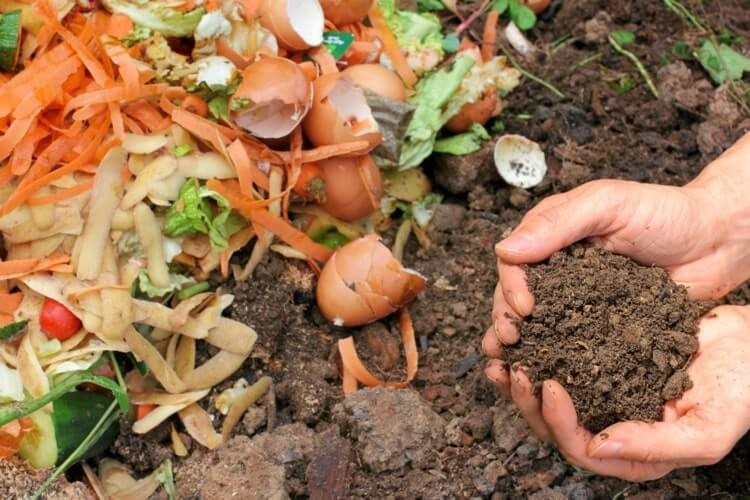 Việt Nam có tiềm năng rất lớn về nguyên liệu để sản xuất phân bón hữu cơ. Ảnh minh họa