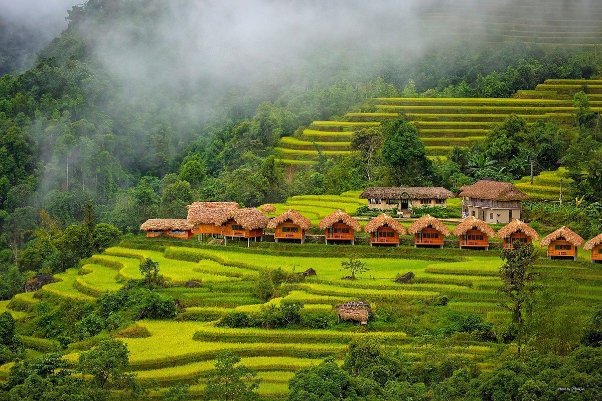 Nông nghiệp Hà Giang: Gặt hái thành công, hướng tới tương lai