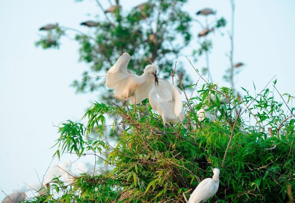 Hải Dương quyết tâm bảo vệ 