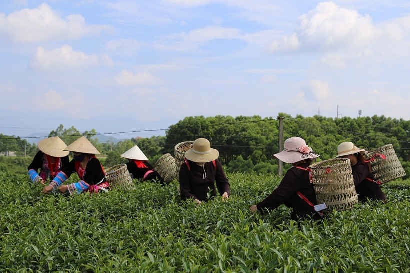 Tăng cường đảm bảo an toàn thực phẩm dịp Tết Nguyên đán tại Quảng Ninh