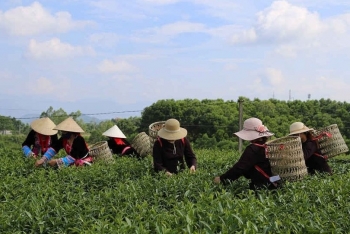 Tăng cường đảm bảo an toàn thực phẩm dịp Tết Nguyên đán tại Quảng Ninh