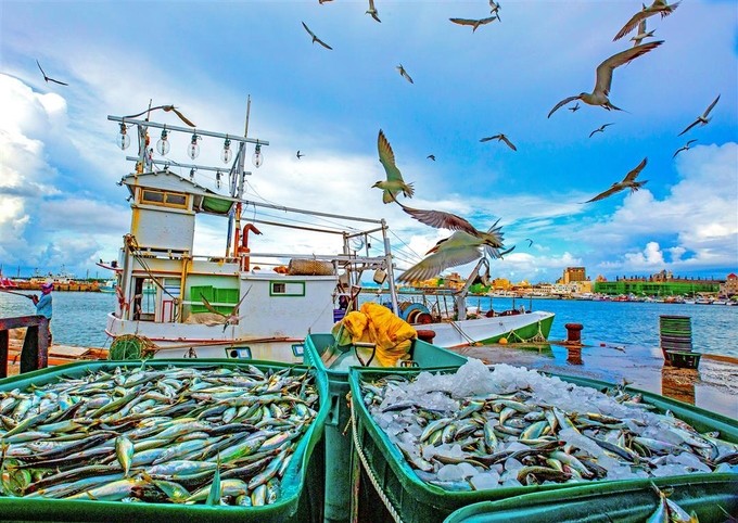 IUU: Vấn nạn nhức nhối của ngành thủy sản toàn cầu