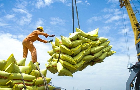 Toàn cảnh xuất khẩu gạo của Việt Nam trên thị trường thế giới