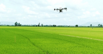 Kiên Giang tập huấn nông dân sử dụng drone trong nông nghiệp