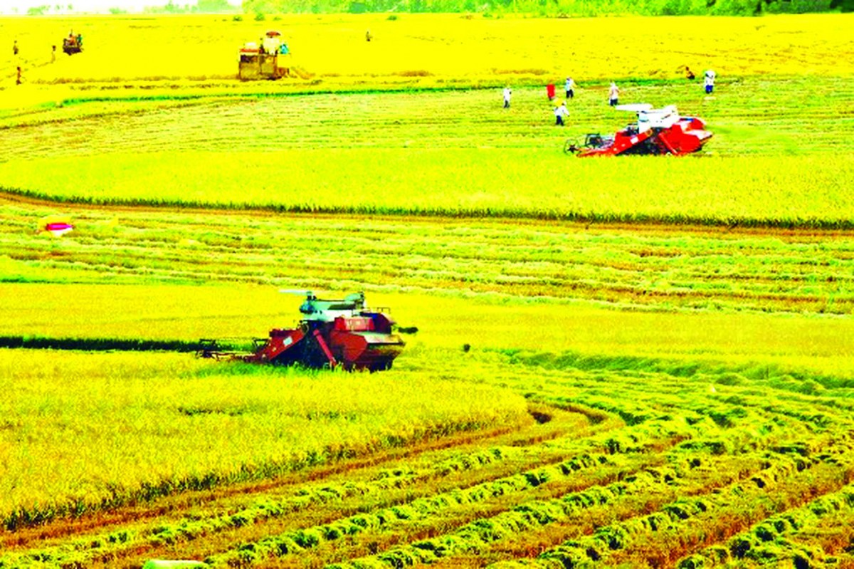 Nông nghiệp, nông dân, nông thôn trong kỷ nguyên vươn mình của dân tộc