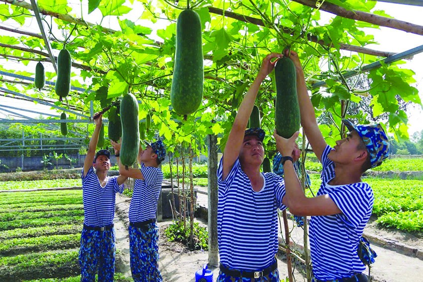 Lữ đoàn 172, Vùng 3 Hải quân: “Vui Xuân, đón Tết không quên nhiệm vụ”!