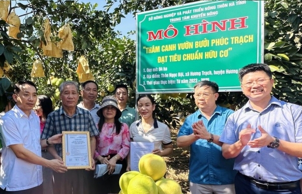 Nâng cao vai trò của khuyến nông trong phát triển nông nghiệp hữu cơ