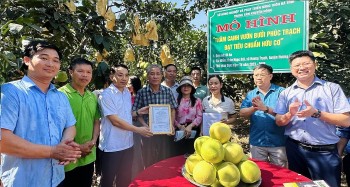 Nâng cao vai trò của khuyến nông trong phát triển nông nghiệp hữu cơ