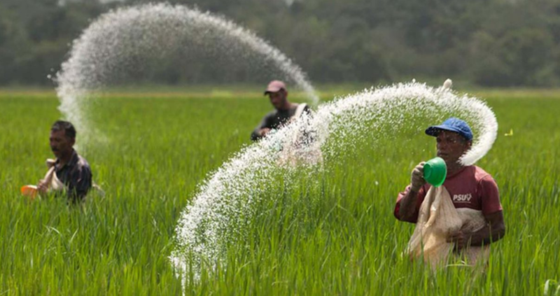 Phân bón Việt Nam: Vững bước trên thị trường quốc tế