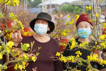 Chợ hoa Xuân Phủ Lý - Nét đẹp ngày Tết