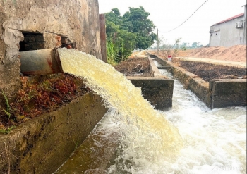 Hải Dương: Trên 17 000 ha đất gieo cấy lúa đã được đổ ải