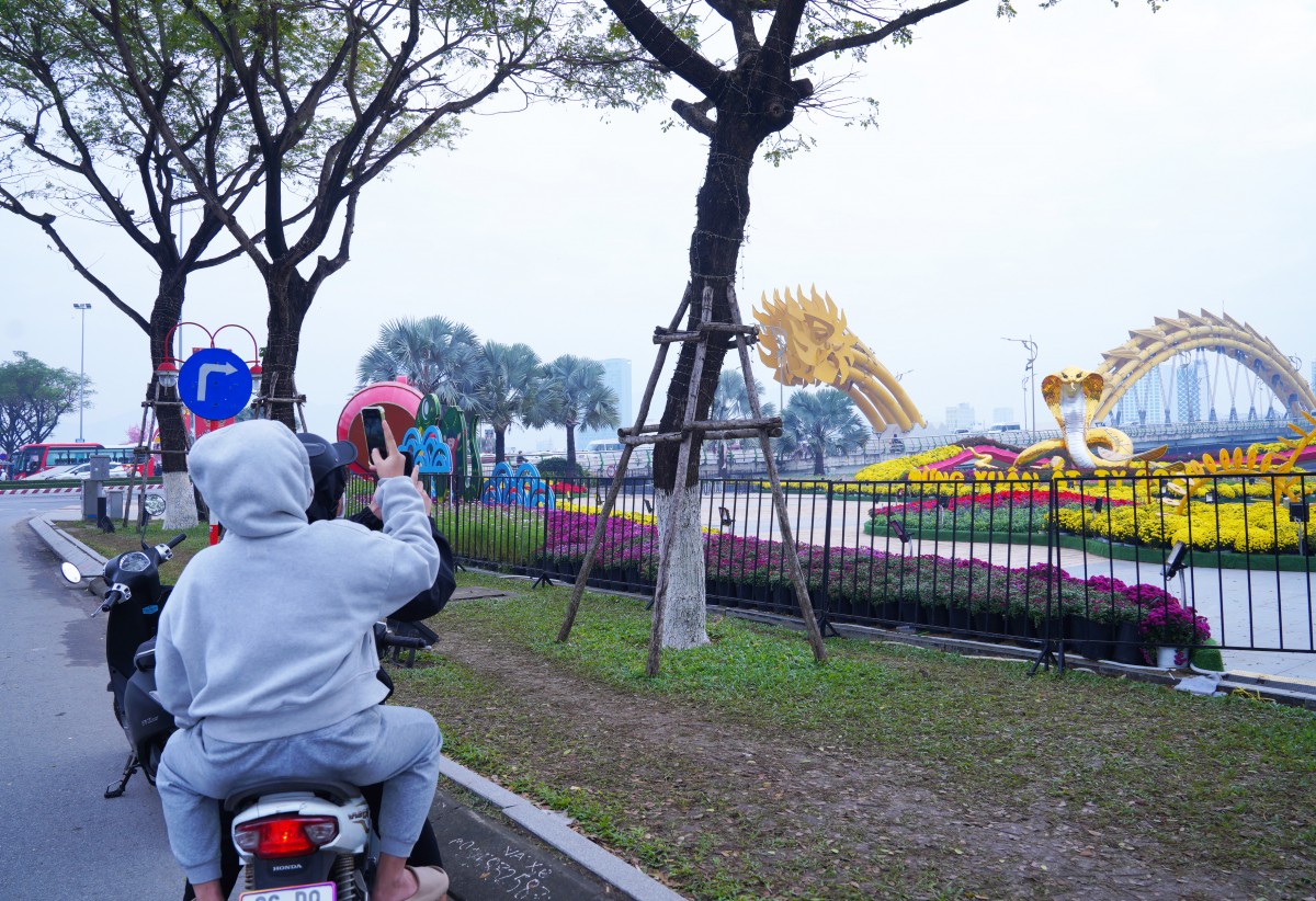 Ngắm biểu tượng linh vật rắn Đà Nẵng hay biểu tượng Ngành Y? Ngắm biểu tượng linh vật rắn Đà Nẵng hay biểu tượng Ngành Y?