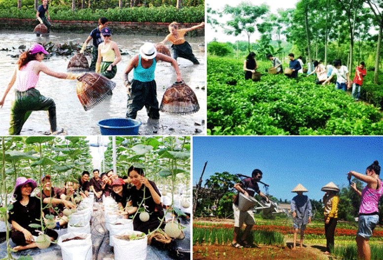 Nông nghiệp và Du lịch: Mối quan hệ cộng sinh đầy tiềm năng