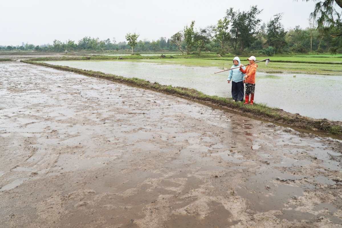 Đại Từ (Thái Nguyên): Khẩn trương xuống đồng, chuẩn bị cho vụ xuân thắng lợi