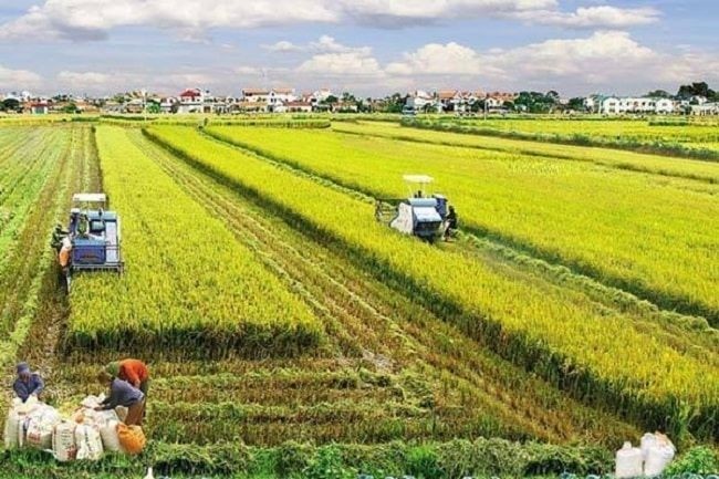 Nông nghiệp Việt Nam 2025: Vươn tầm thế giới bằng 