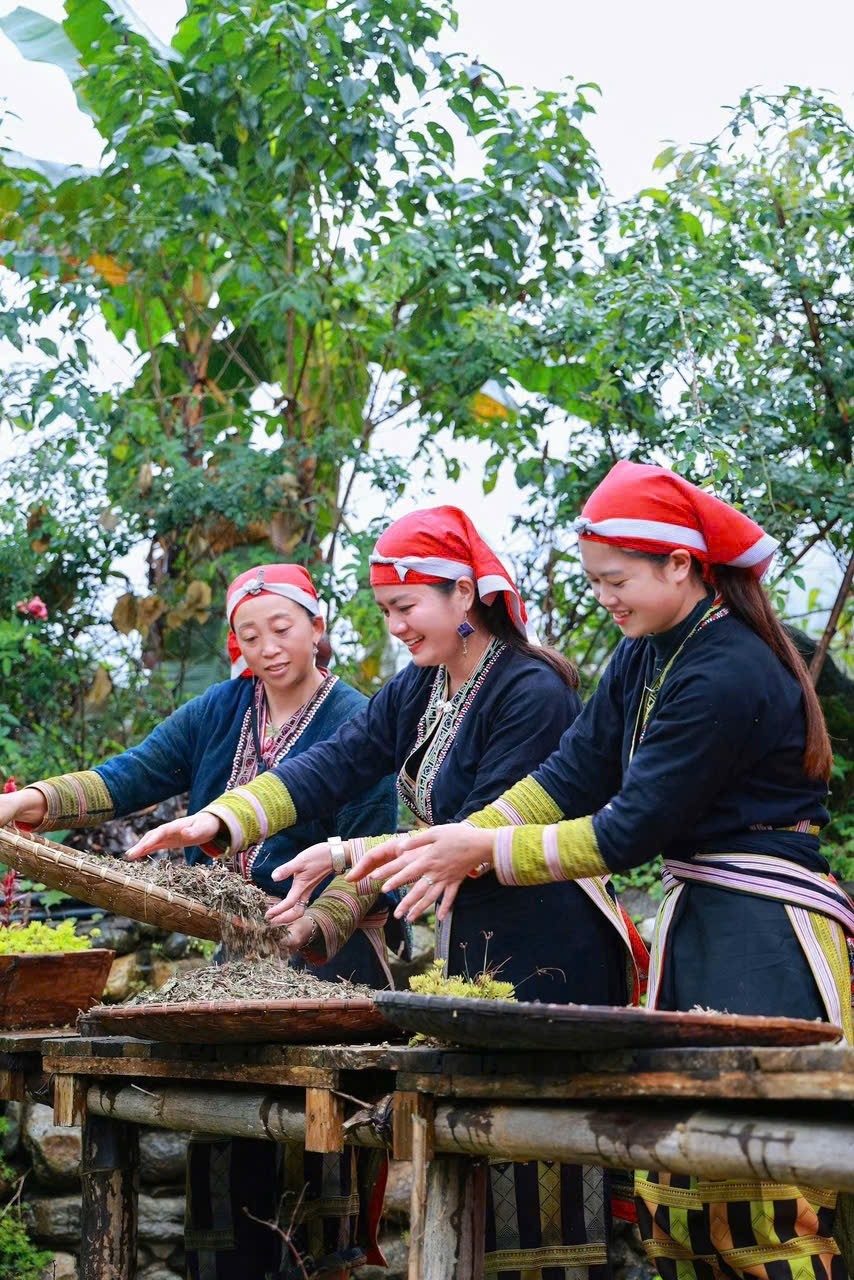 Viên tinh nghệ chè dây 