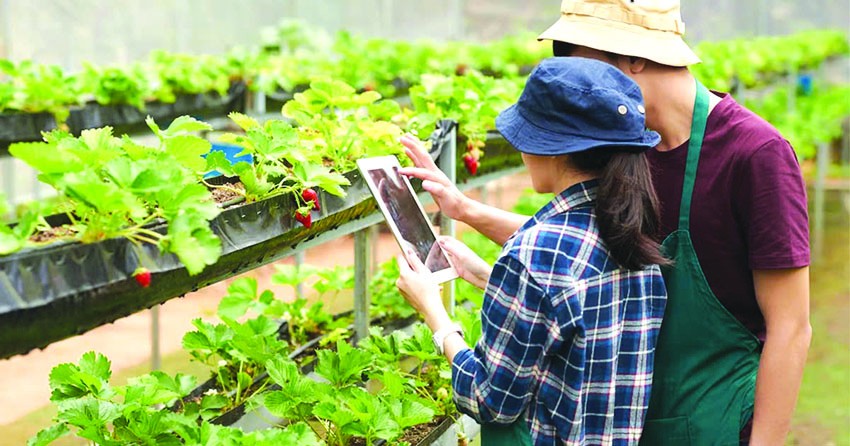 Đổi mới tạo đột phá trong chuyển đổi số nông nghiệp và phát triển nông nghiệp hữu cơ