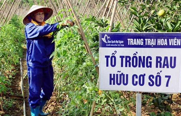 Hành trình sản phẩm nông nghiệp hữu cơ đến với người tiêu dùng