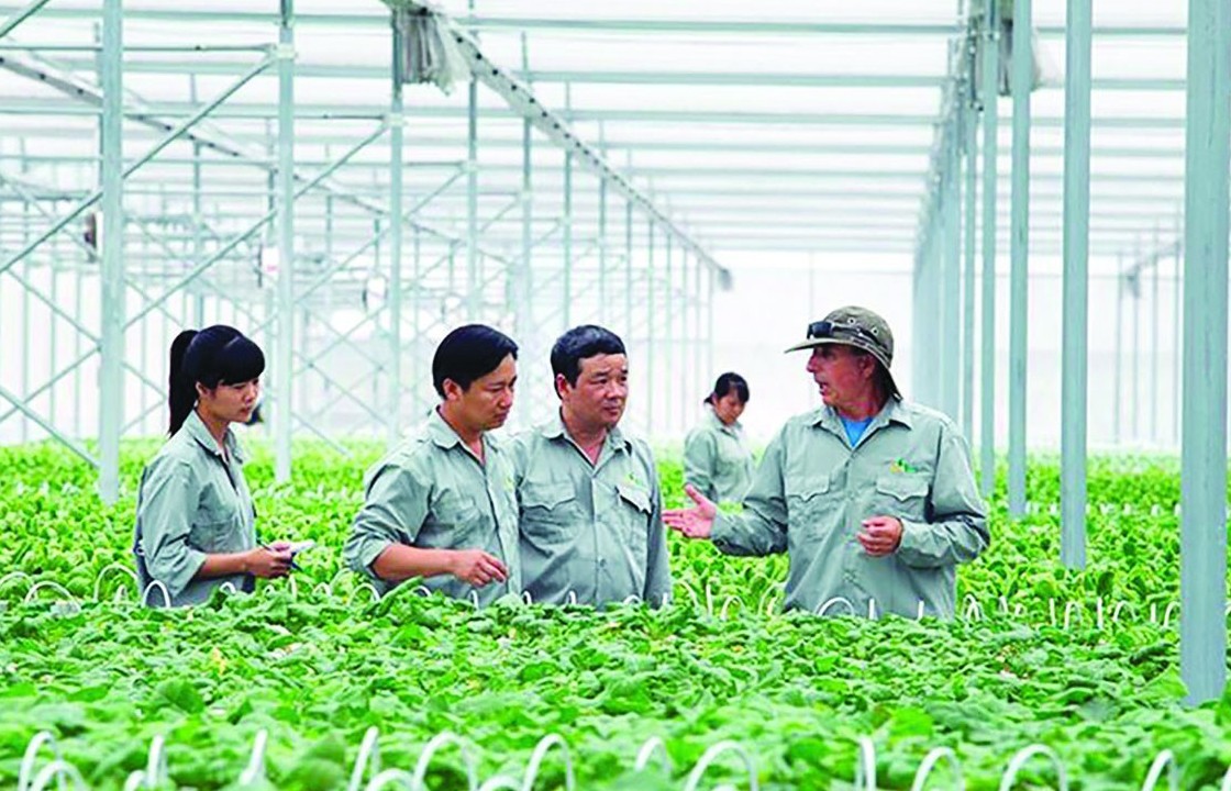 Tăng cường kết nối doanh nghiệp trong sản xuất nông nghiệp hữu cơ