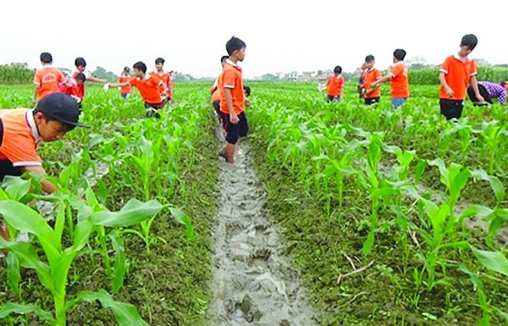 Nâng cao nhận thức về nông nghiệp và nông nghiệp hữu cơ qua giáo dục