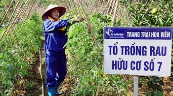 Hành trình sản phẩm nông nghiệp hữu cơ đến với người tiêu dùng