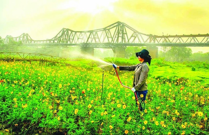 Cần thay đổi tư duy về cách ứng xử với cây trồng và sinh vật “gây hại”