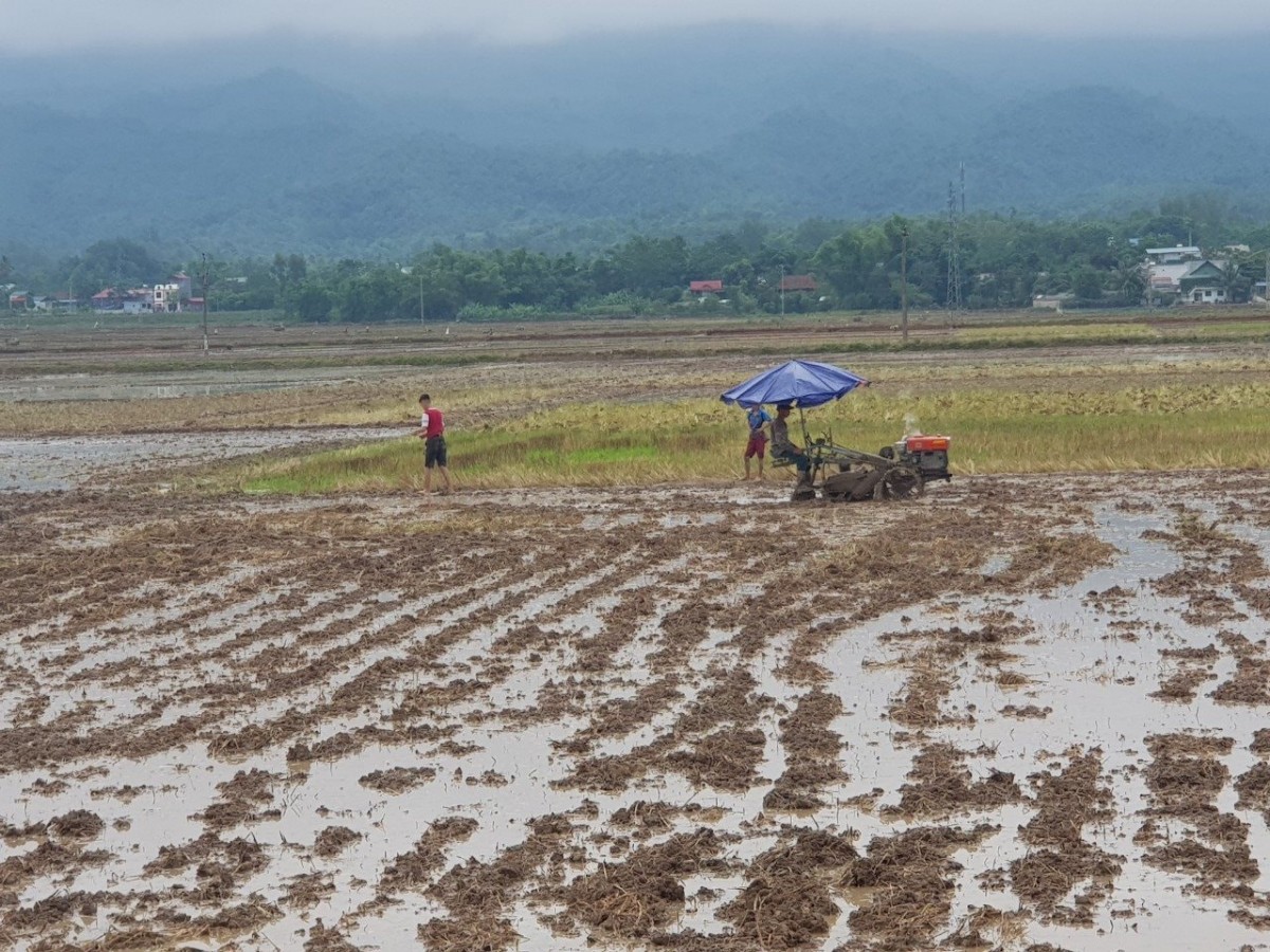 Công nghiệp hóa và sự thu hẹp đất canh tác: Bài toán khó cho nông nghiệp