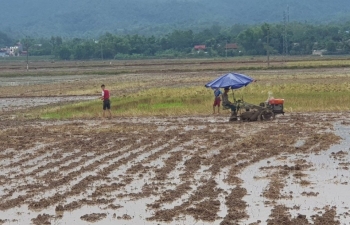 Công nghiệp hóa và sự thu hẹp đất canh tác: Bài toán khó cho nông nghiệp