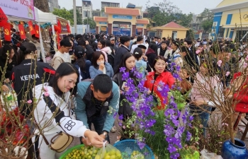 Đánh giá tổng quan về tình hình mua sắm dịp Tết Ất Tỵ 2025