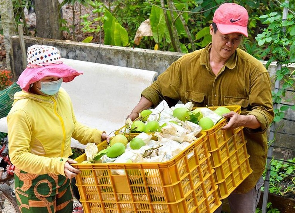 Đồng Tháp đẩy mạnh bảo hộ sở hữu trí tuệ cho nông sản chủ lực