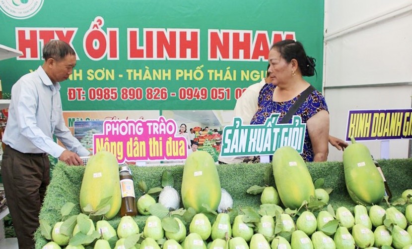 Thái Nguyên đa dạng hóa kết nối, đưa nông sản 