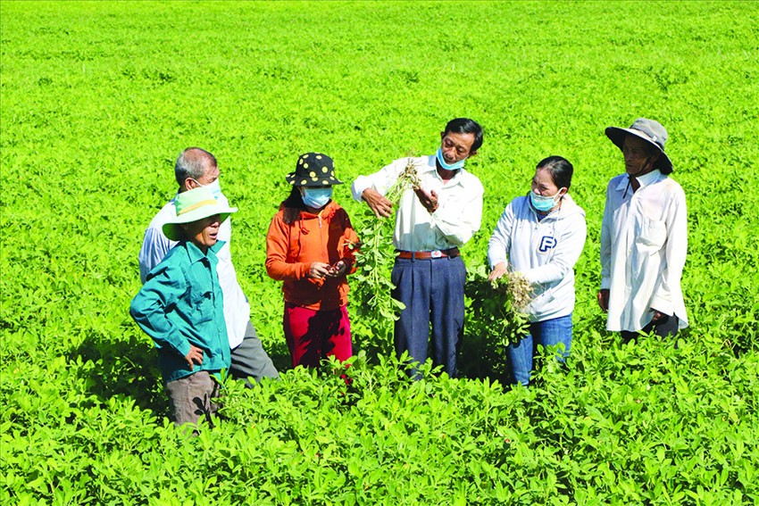 Nông nghiệp Đồng Nai: Diện mạo mới sau giai đoạn công nghệ hóa thần tốc