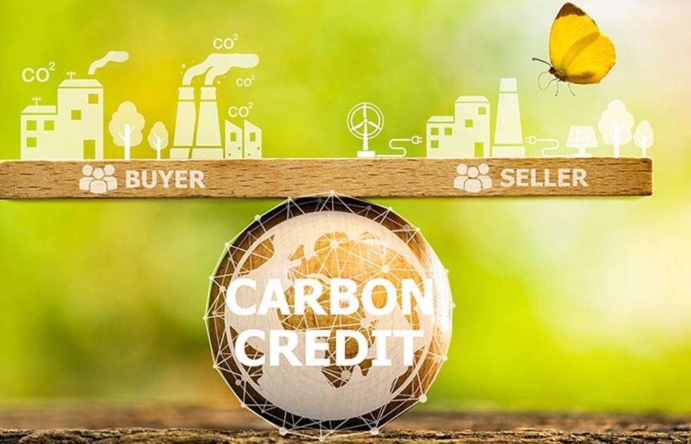 Đắk Lắk: Cần những giải pháp đồng bộ để phát triển thị trường tín chỉ carbon