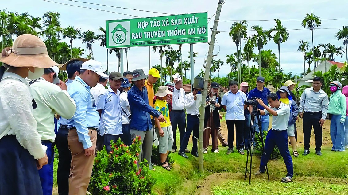 Tết về nơi làng rau hữu cơ An Mô