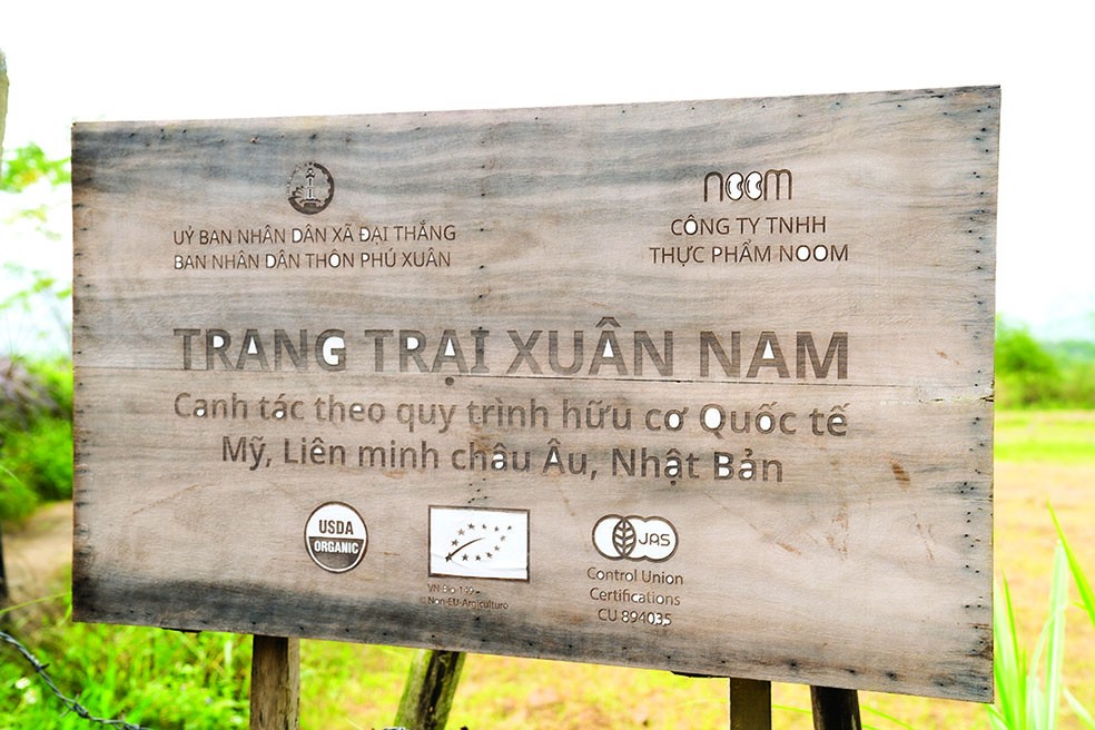 Quảng Nam: Làng nông nghiệp hữu cơ đầu tiên đạt chứng chỉ quốc tế