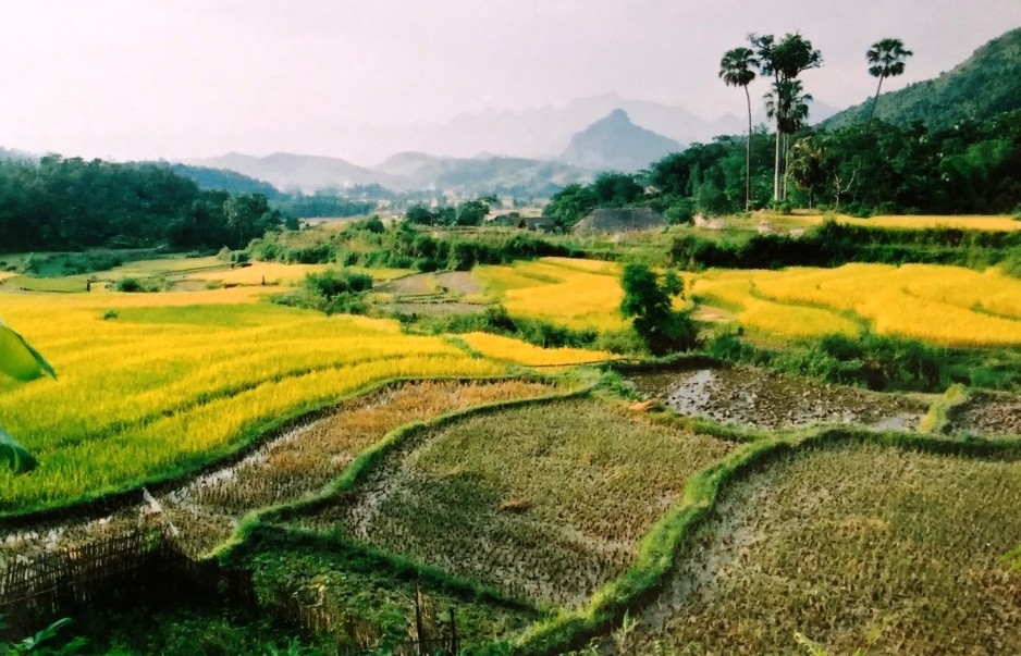 Mùa xuân nhớ về quê hương yêu dấu