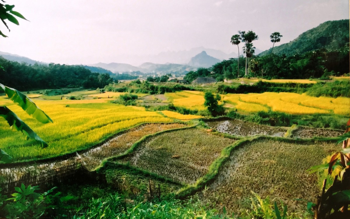 Mùa xuân nhớ về quê hương yêu dấu