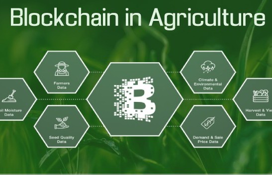 Ứng dụng công nghệ blockchain trong quản lý chuỗi cung ứng nông sản hữu cơ
