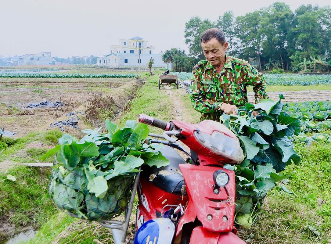 Nông dân khẩn trương xuống đồng sau Tết, sẵn sàng cho vụ xuân