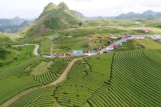 Sơn La trên đường trở thành Trung tâm Nông nghiệp Công nghệ cao của vùng Tây Bắc