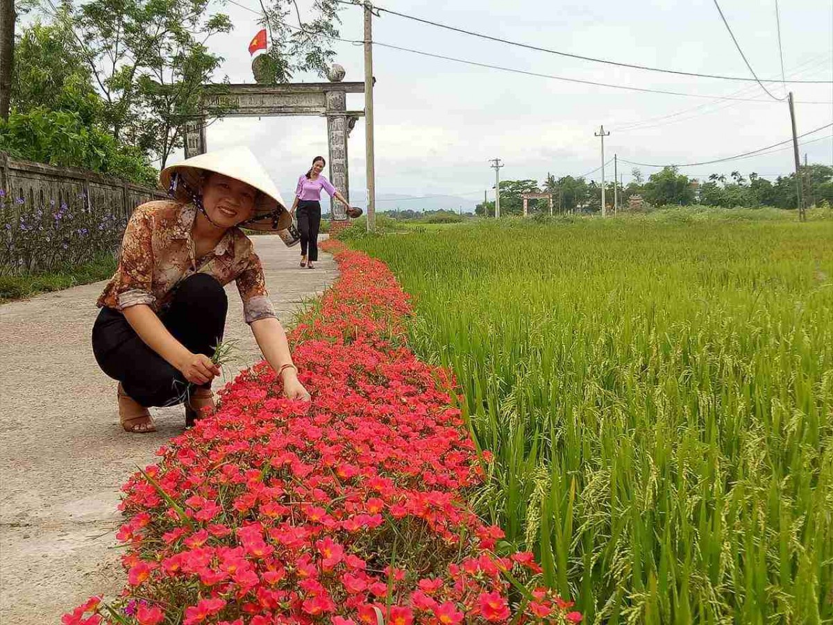 Hỗ trợ phát triển nông thôn, nâng cao đời sống, xây dựng tương lai