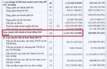 Tập đoàn Đất Xanh: Quý 4 báo lãi  210 tỷ đồng, dòng tiền kinh doanh cả năm âm hơn 1.300 tỷ đồng