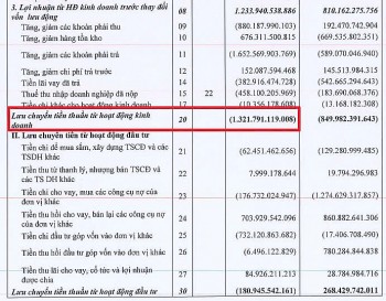 Tập đoàn Đất Xanh: Quý 4 báo lãi  210 tỷ đồng, dòng tiền kinh doanh cả năm âm hơn 1.300 tỷ đồng