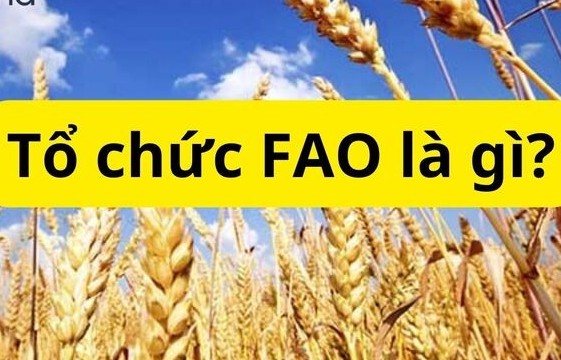 FAO: Nỗ lực toàn cầu vì an ninh lương thực và phát triển nông nghiệp bền vững