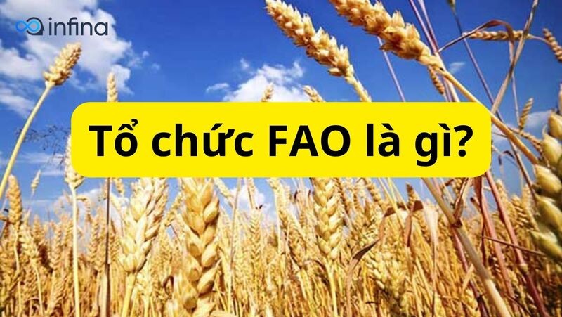 FAO: Nỗ lực toàn cầu vì an ninh lương thực và phát triển nông nghiệp bền vững